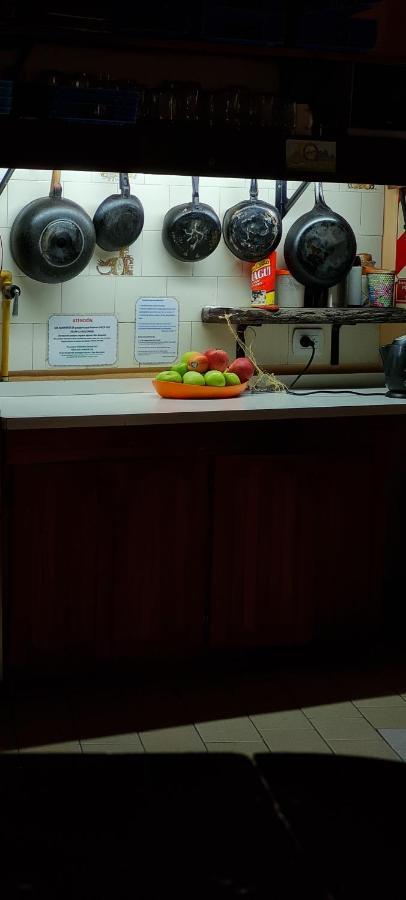 La Casa Del Arbol - Hostel El Bolson Ngoại thất bức ảnh