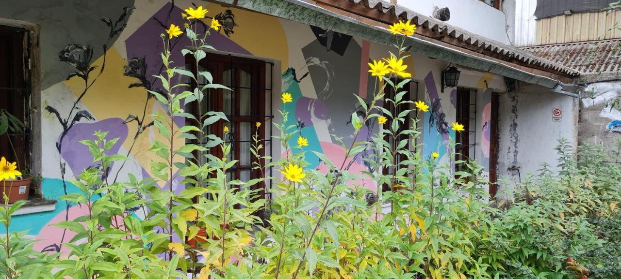 La Casa Del Arbol - Hostel El Bolson Ngoại thất bức ảnh