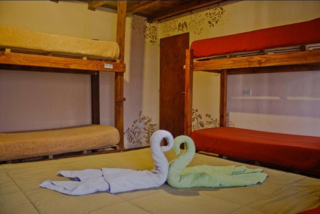 La Casa Del Arbol - Hostel El Bolson Ngoại thất bức ảnh