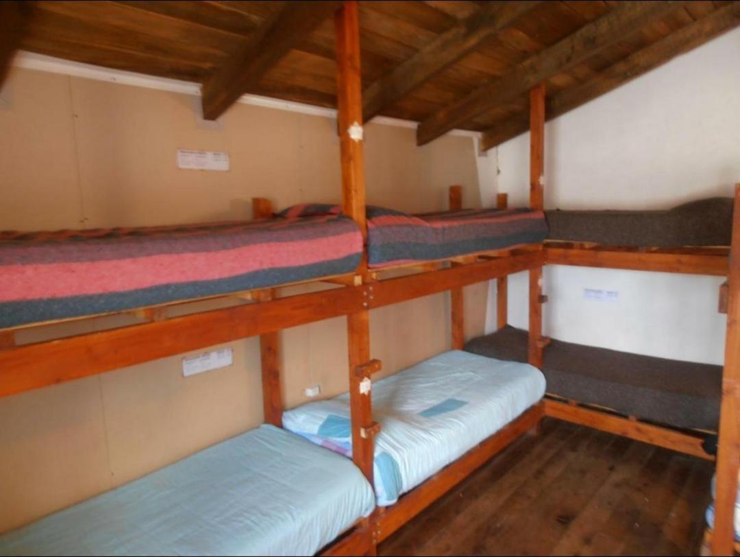 La Casa Del Arbol - Hostel El Bolson Ngoại thất bức ảnh